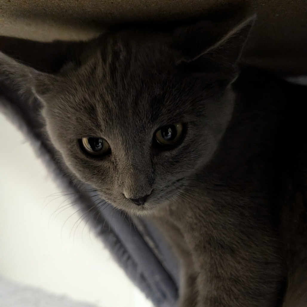 Lilith, photo 4