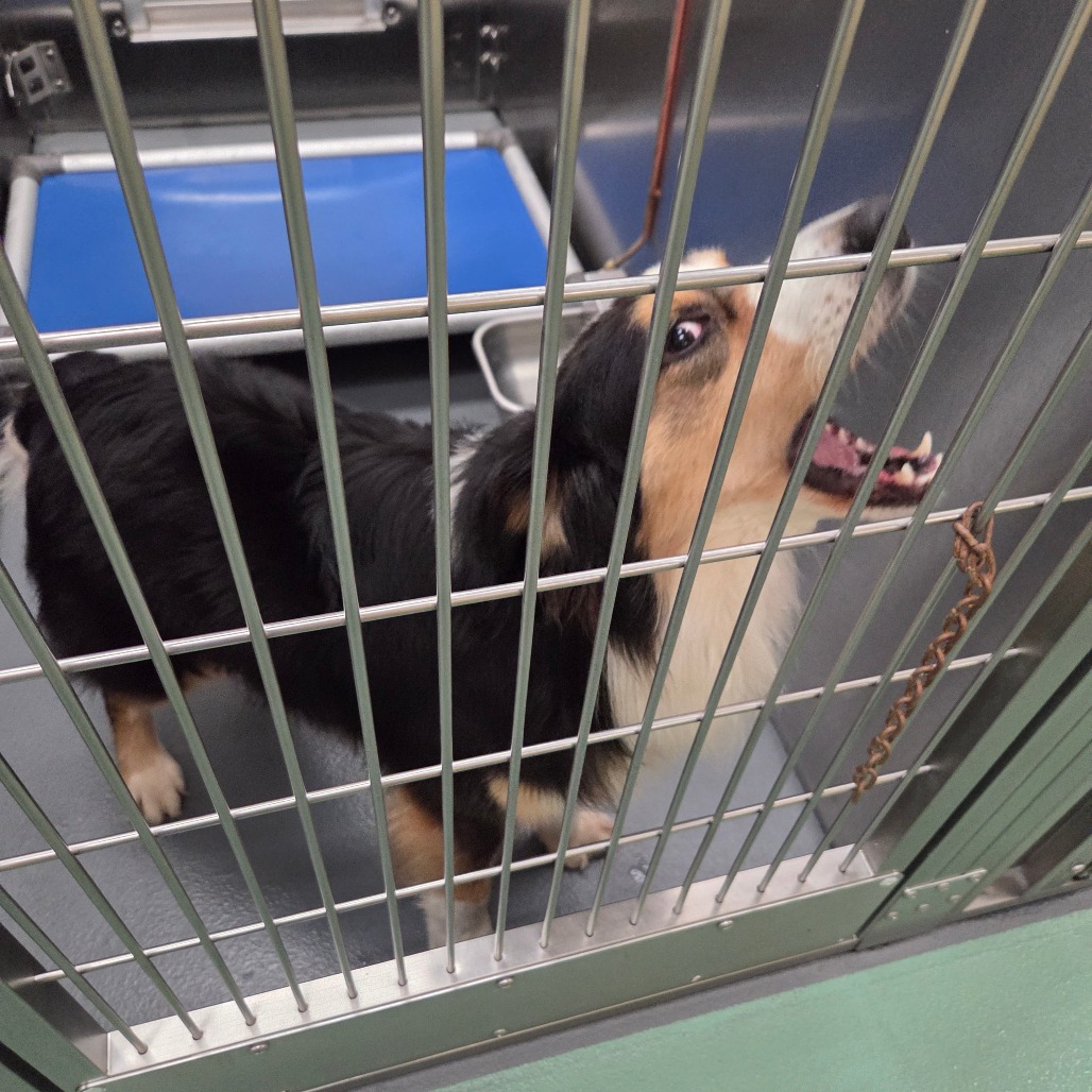 Kai — thumbnail 11