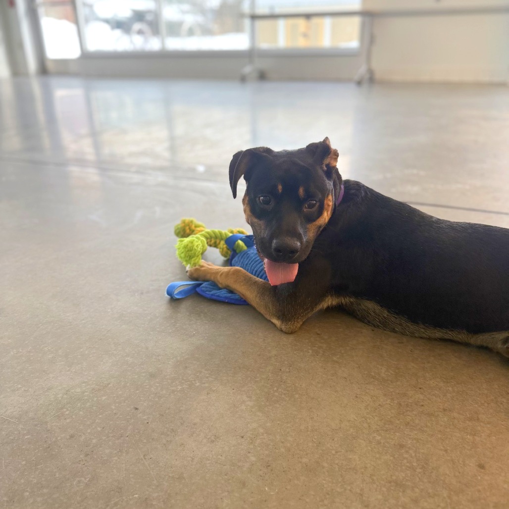 Photo of Kettlecorn 6