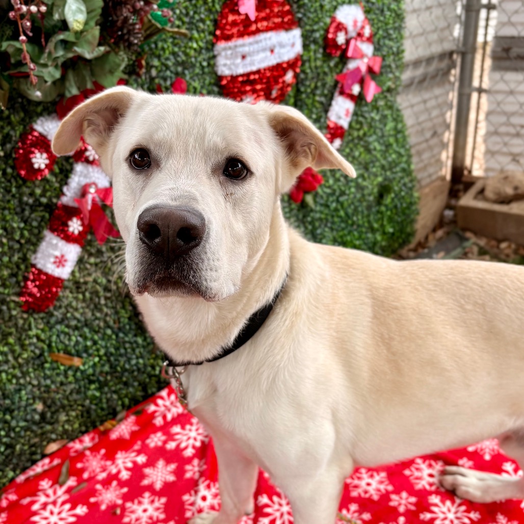 Autumn Equinox — thumbnail 10