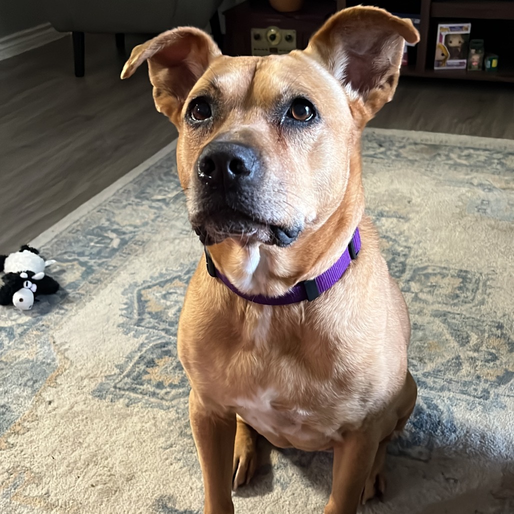 Lilly, photo 35