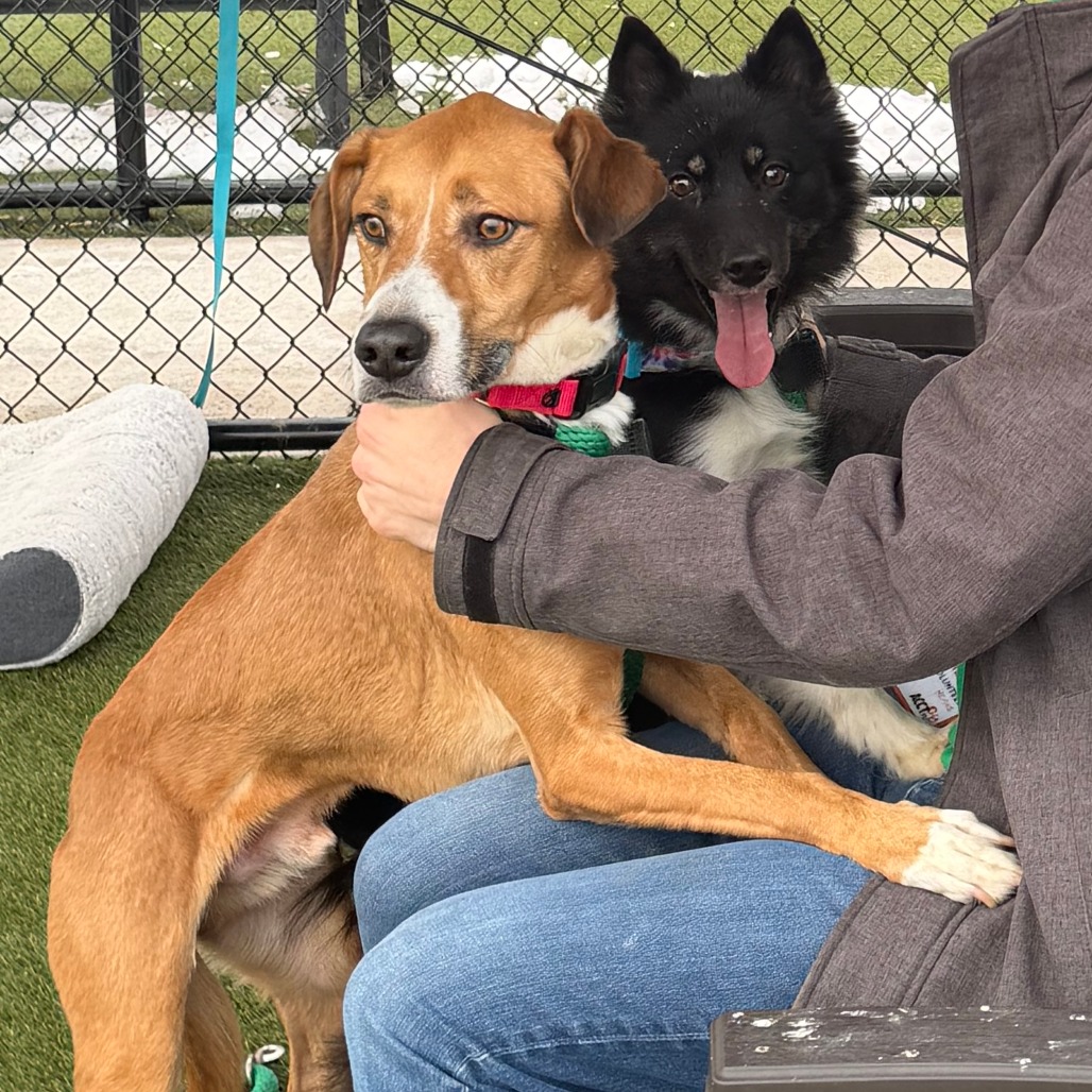 Luna — thumbnail 2