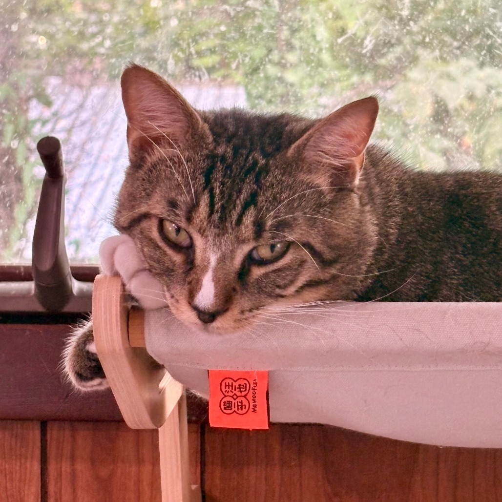 Gonzo, photo 8