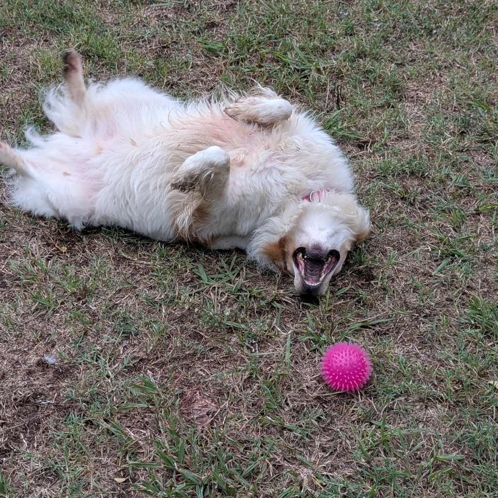 Sandy photo 36