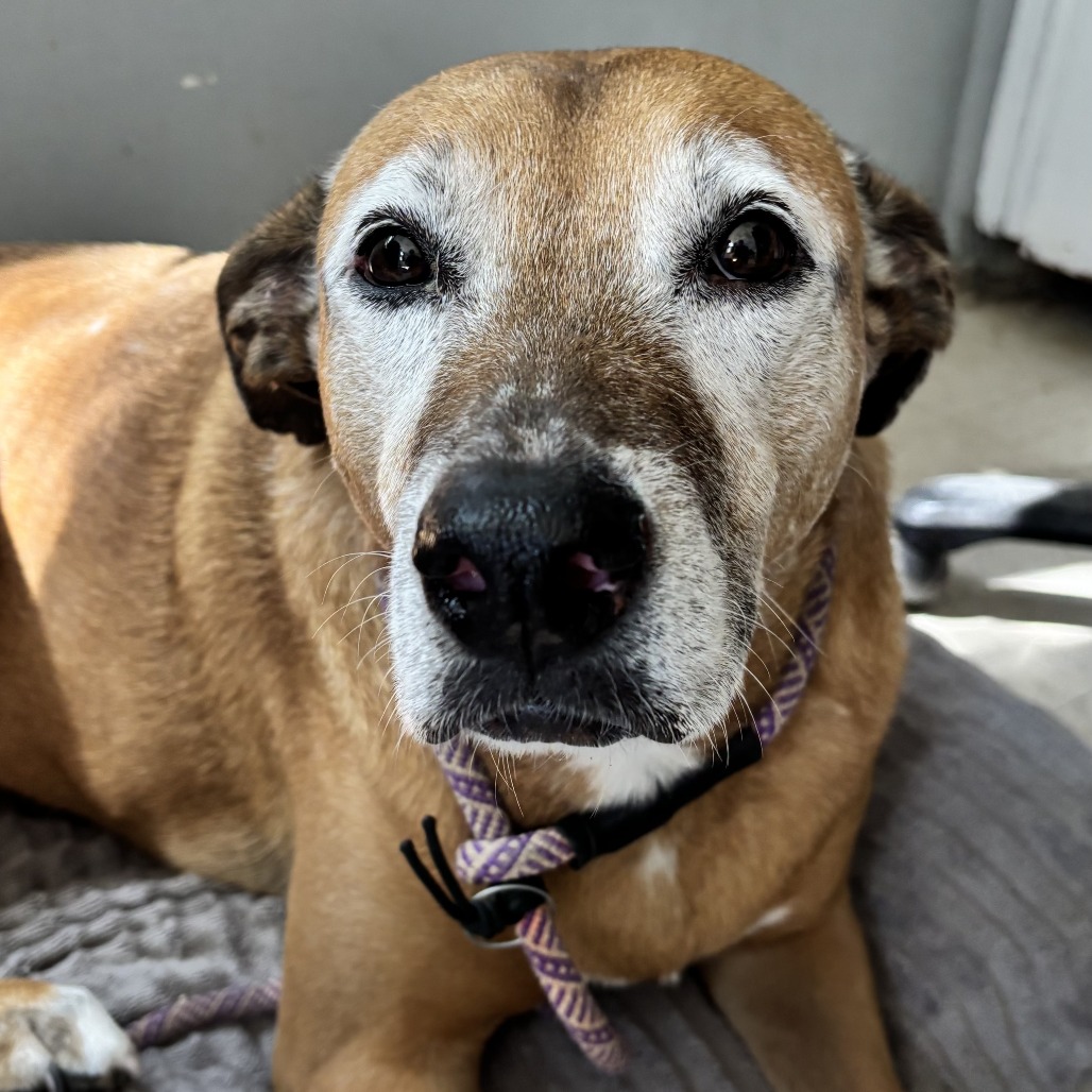 Ethel, additional photo