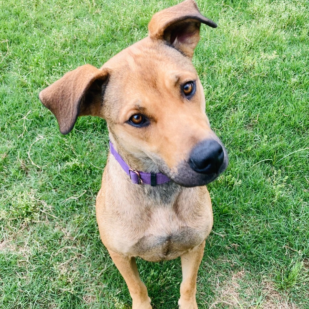 Perdita, photo 5