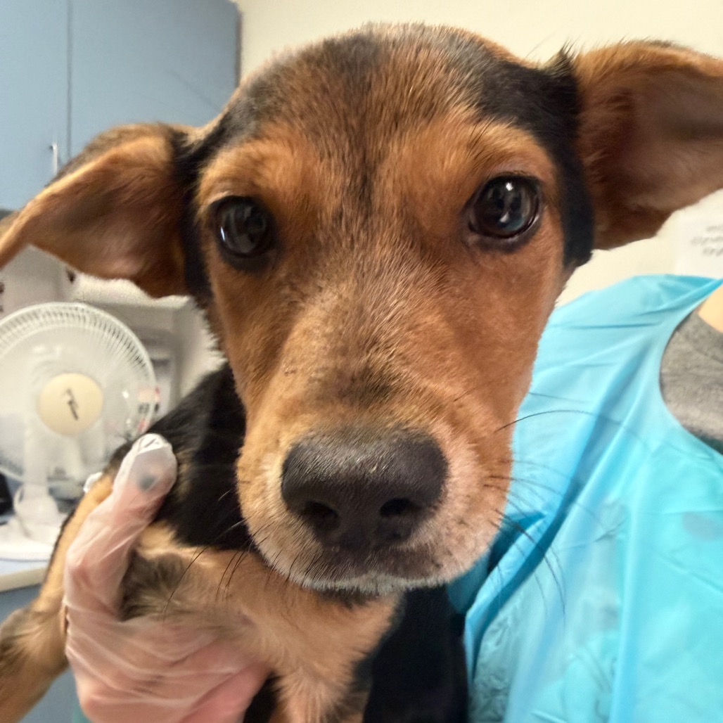 Aquamarine — thumbnail 2