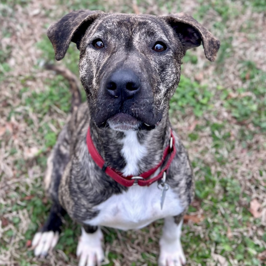 Finley — thumbnail 10