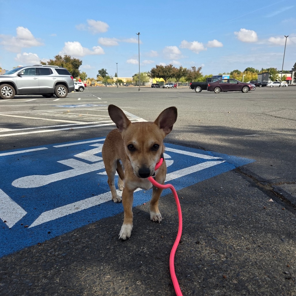 ITTY BITTY — thumbnail 5