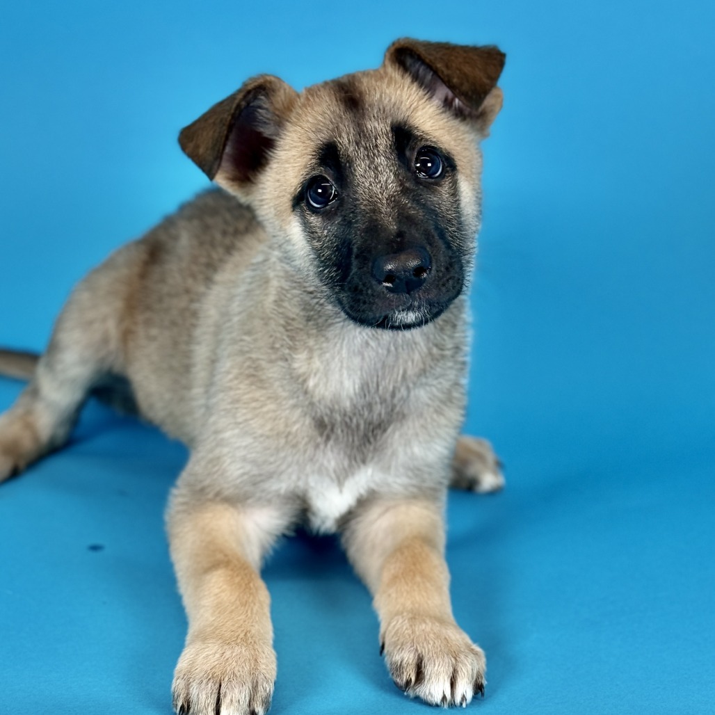 Neteyam — thumbnail 5