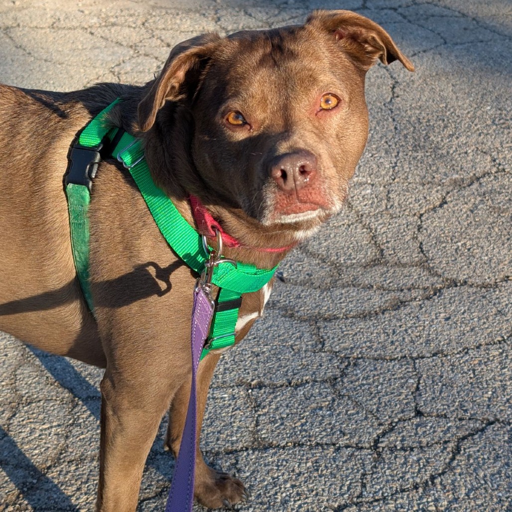 Rex, photo 24