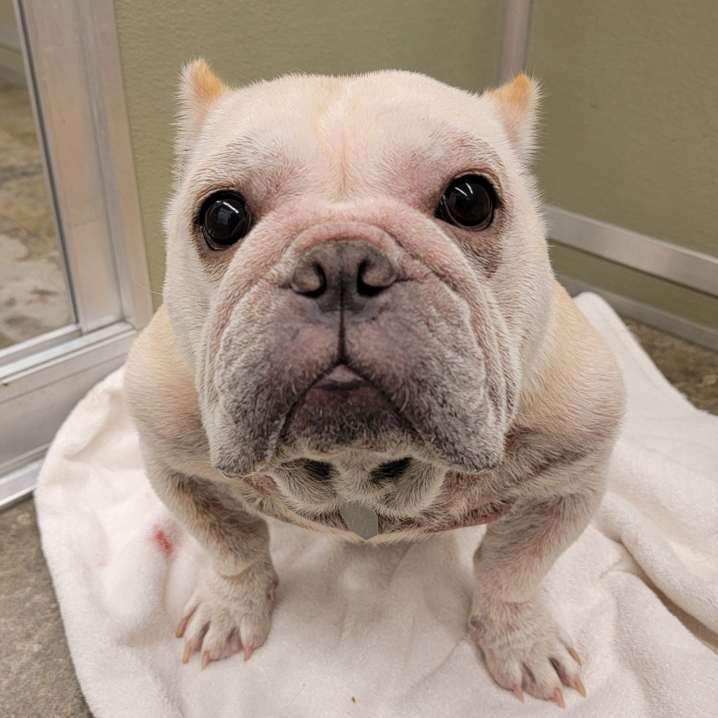 Sassy Pants — thumbnail 2