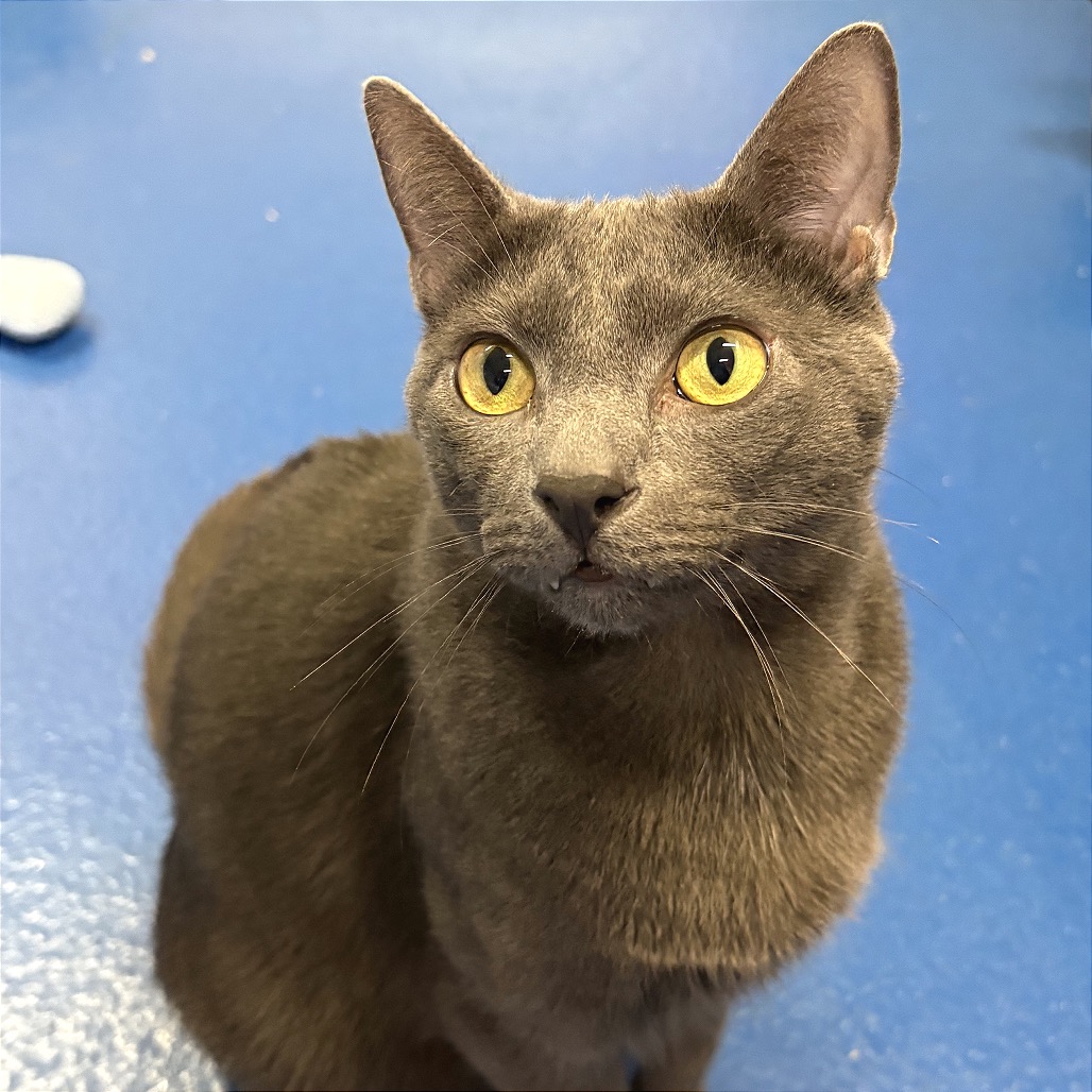 Photo of Wybie playing