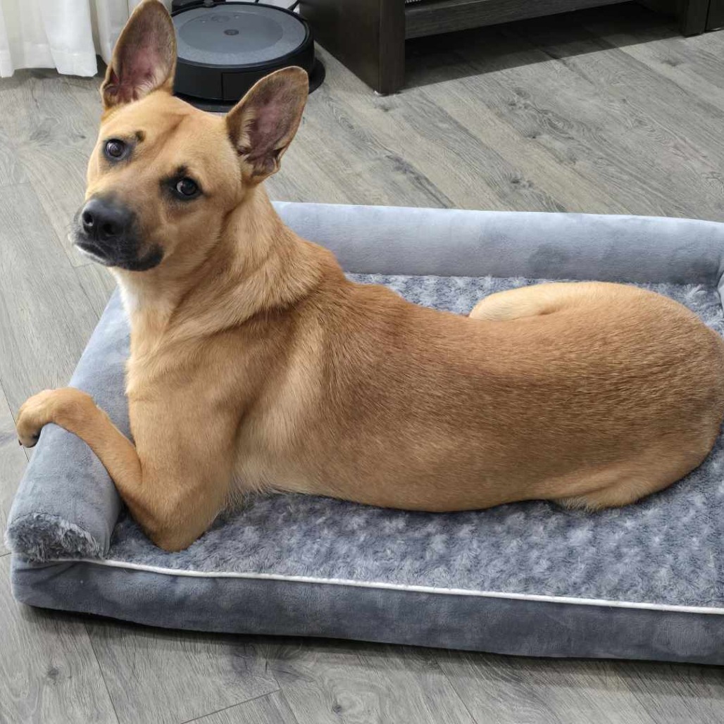 Julian — thumbnail 5