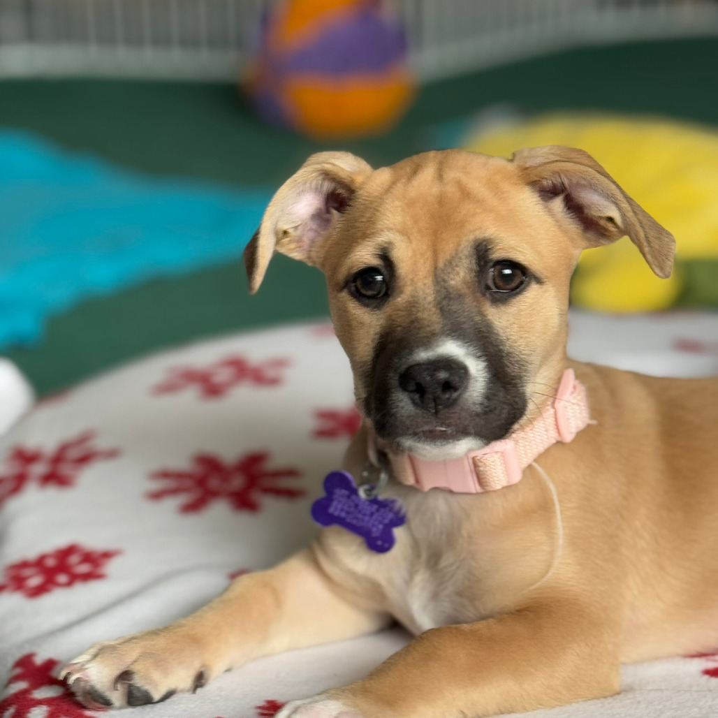 Raylean — thumbnail 3