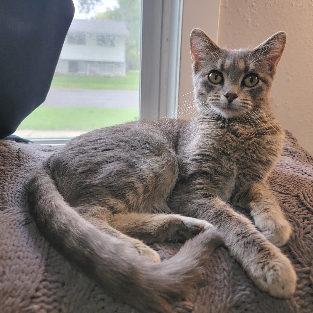 Feliciana--In Foster***ADOPTION PENDING***, photo 2