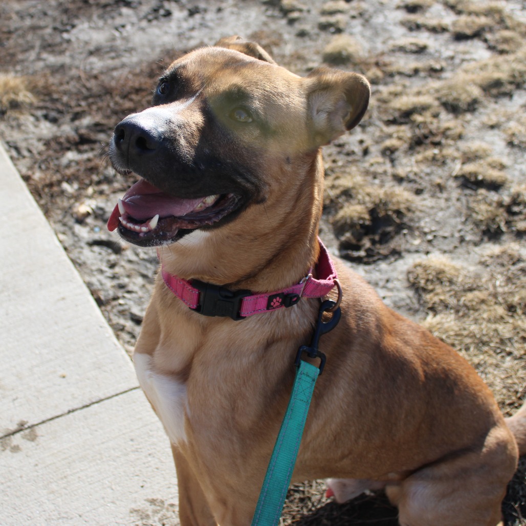 Marcus — thumbnail 3