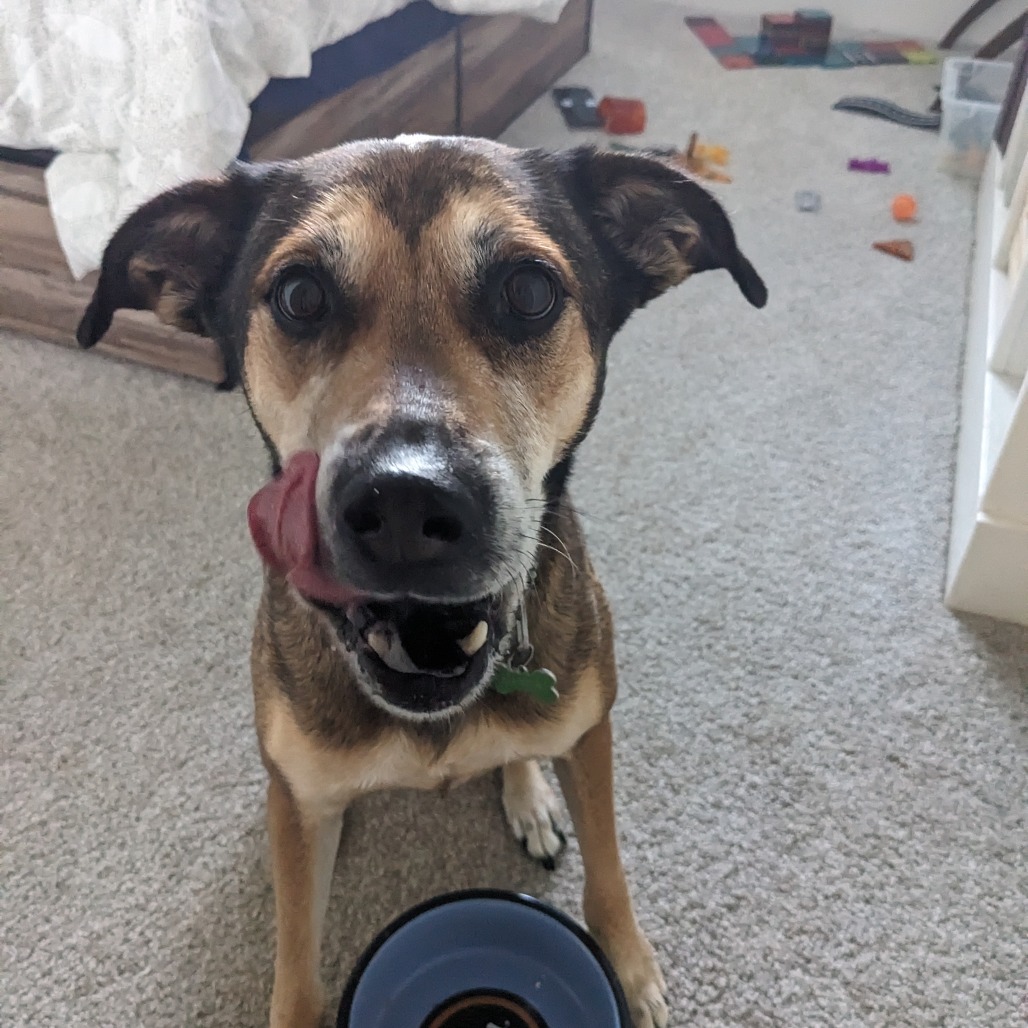 Lana (Courtesy Posting) — thumbnail 2