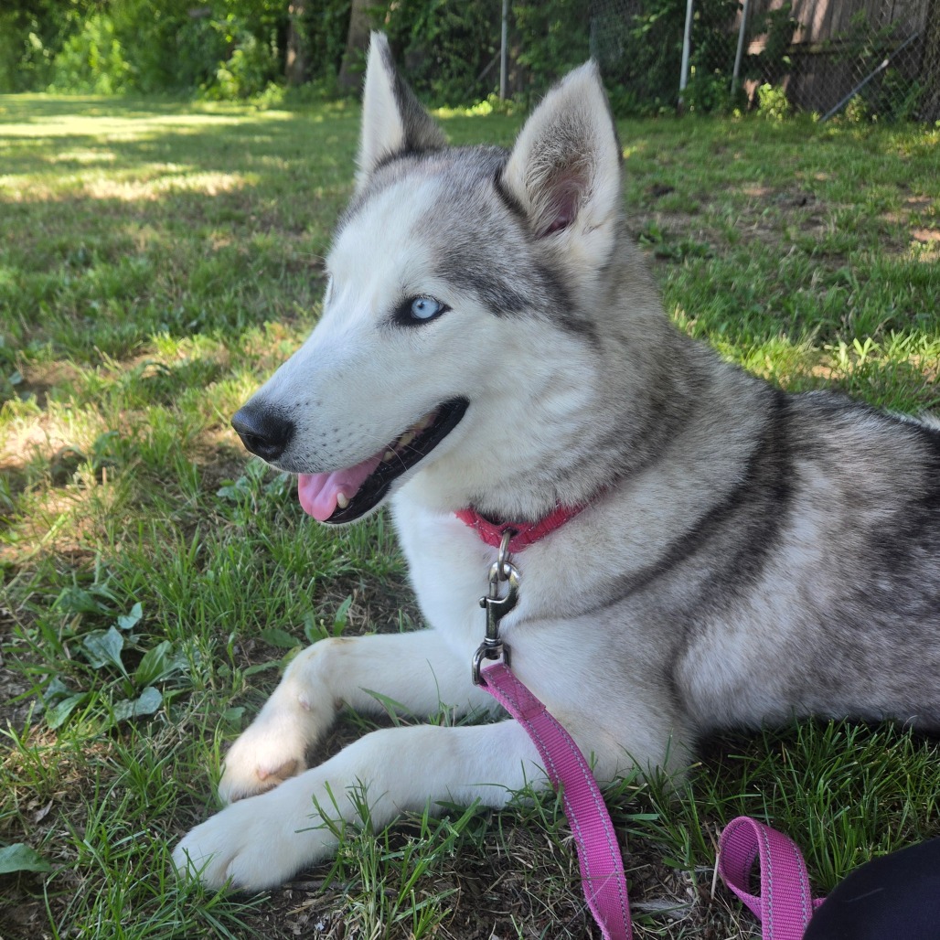 Casper photo 29