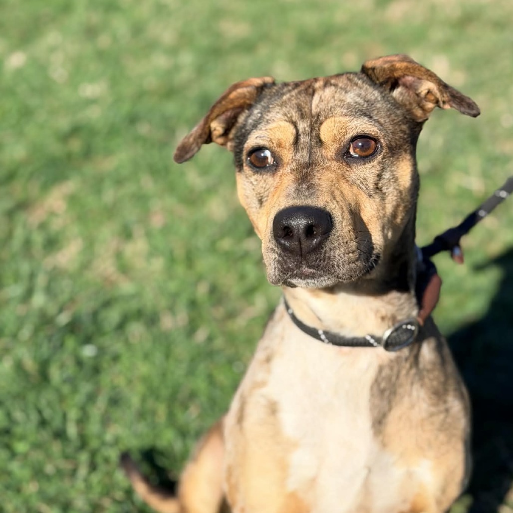 Aloha — thumbnail 5