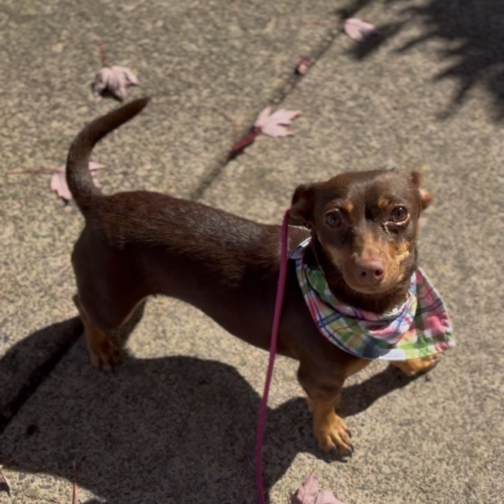 Bonnie, photo 3