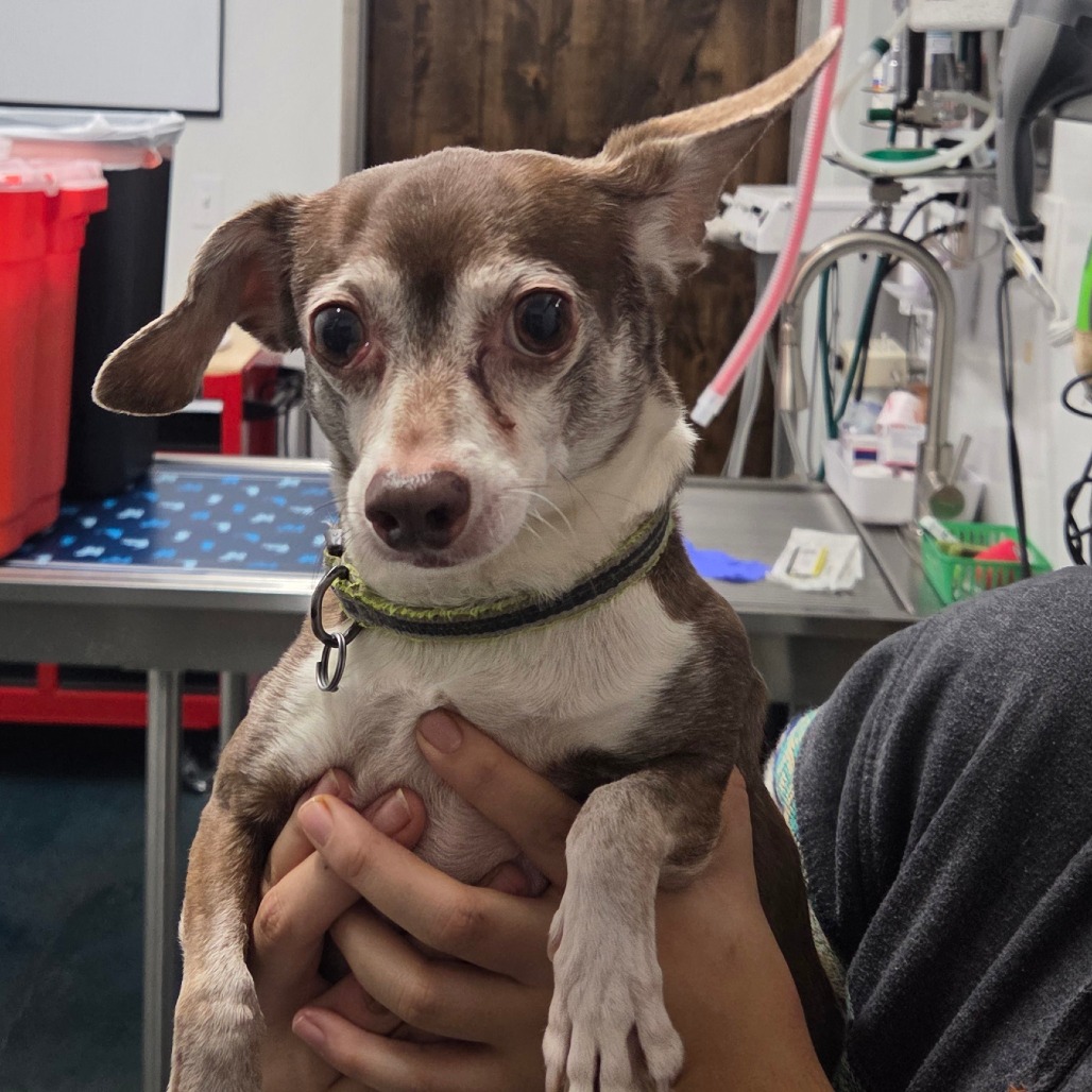 Jake — thumbnail 2