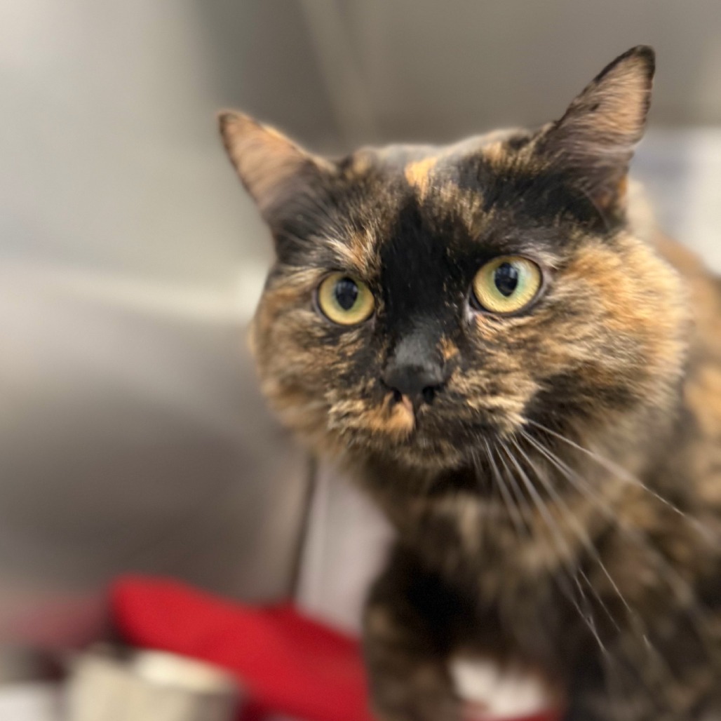 Photo of Laverne Jane 5