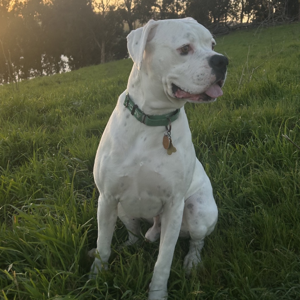 GRAYSON, photo 17