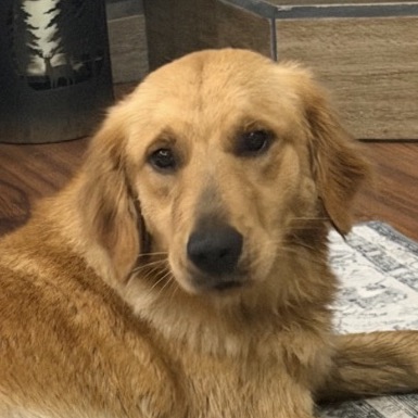 Reba