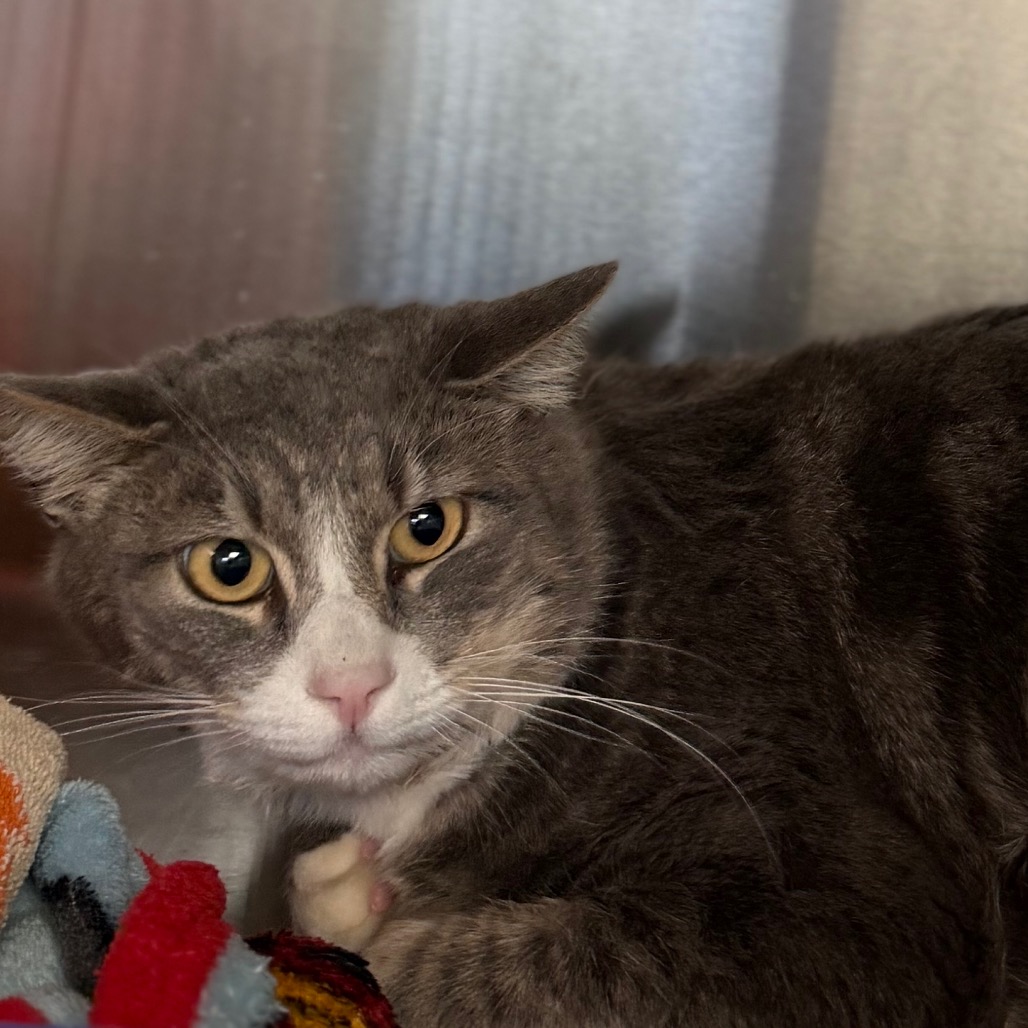 C#21's preview photo