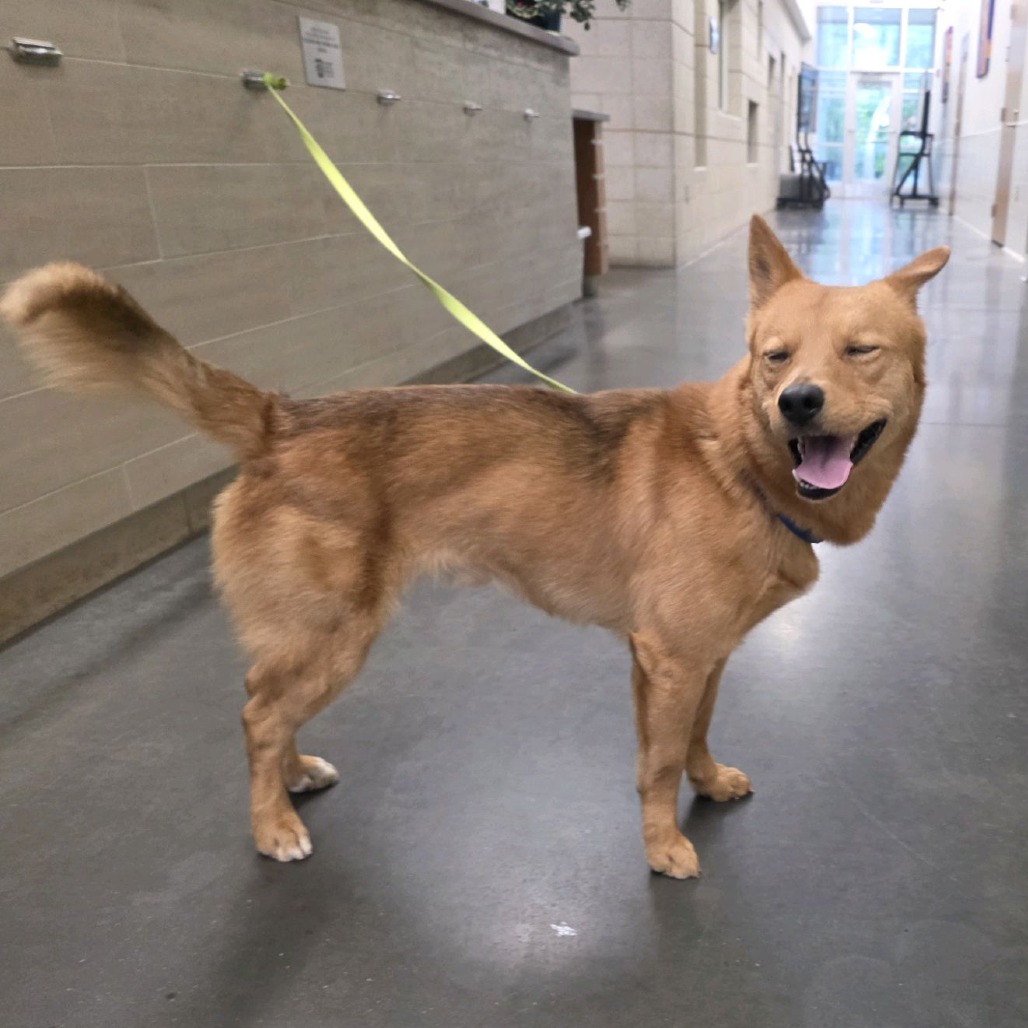 Photo of Bluegrass 4