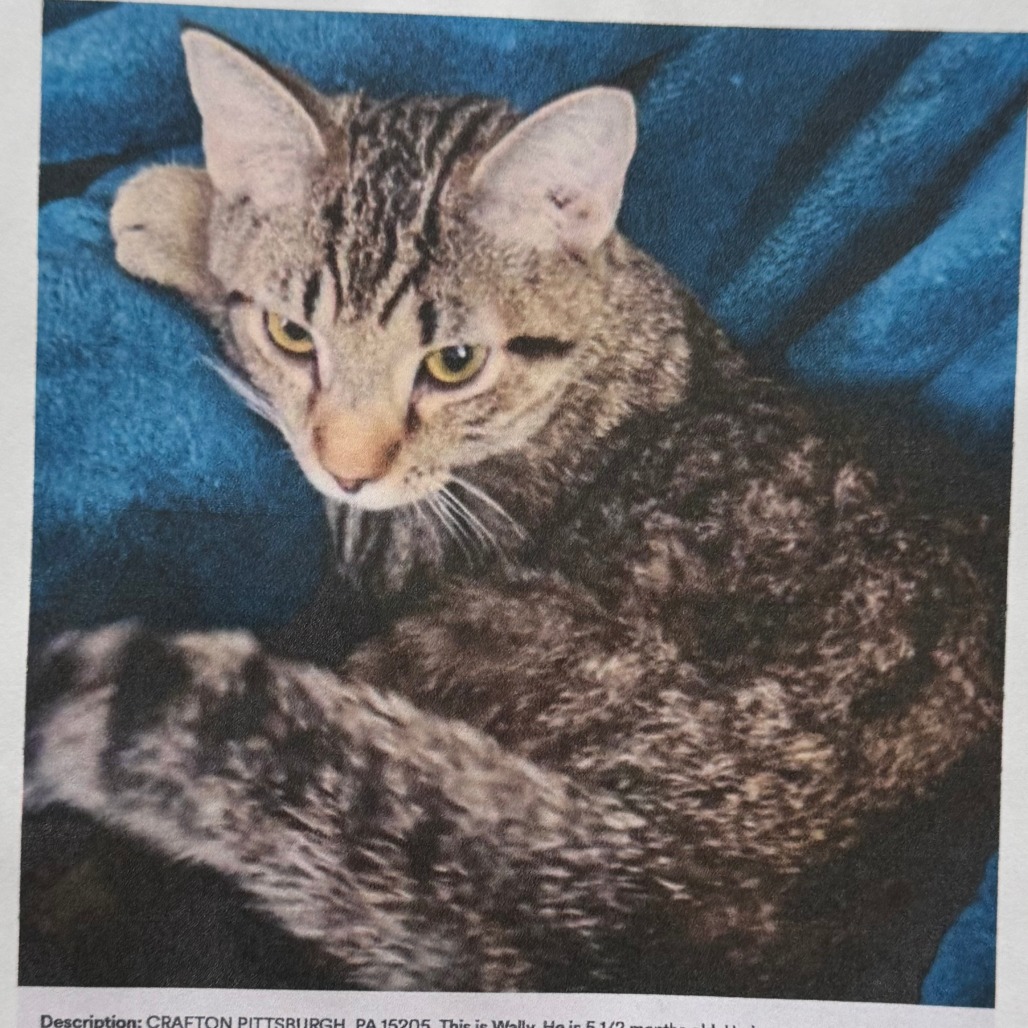 Photo of Wally