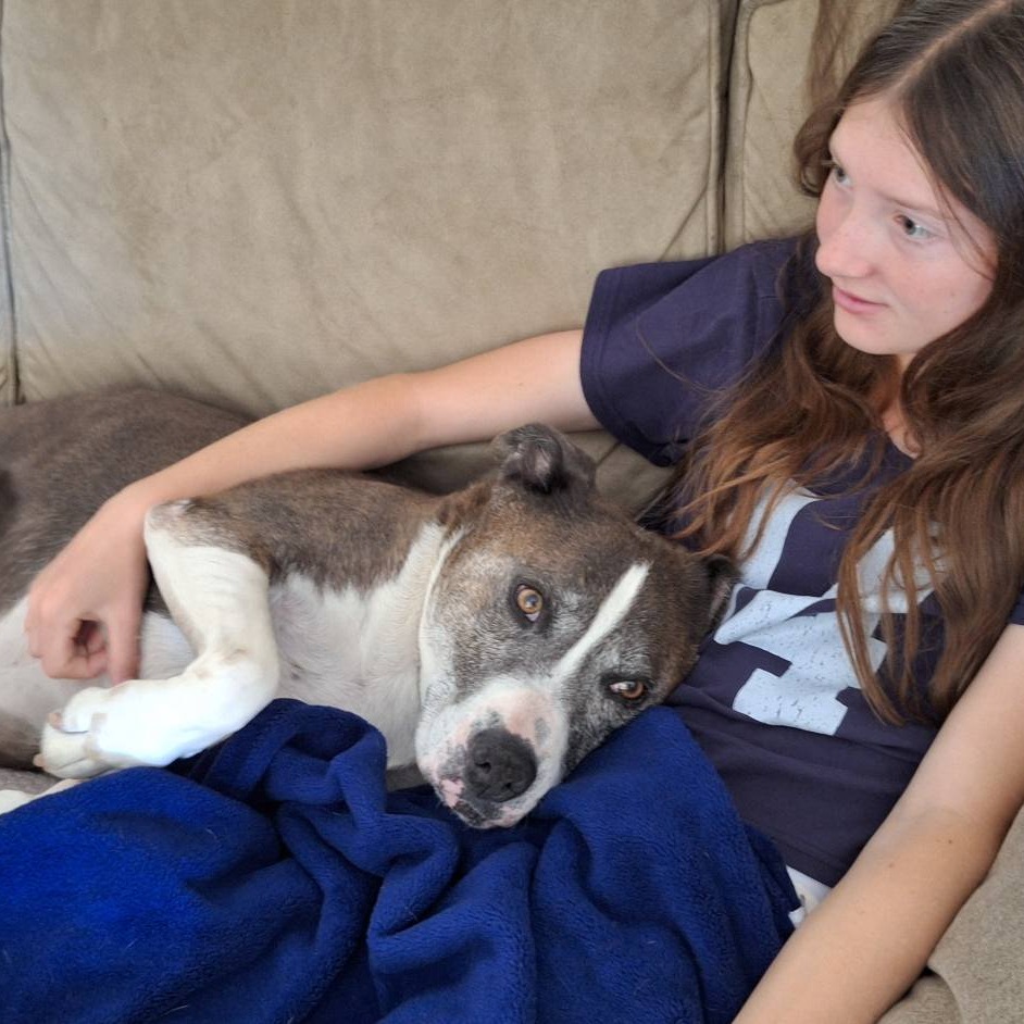 Gumbo