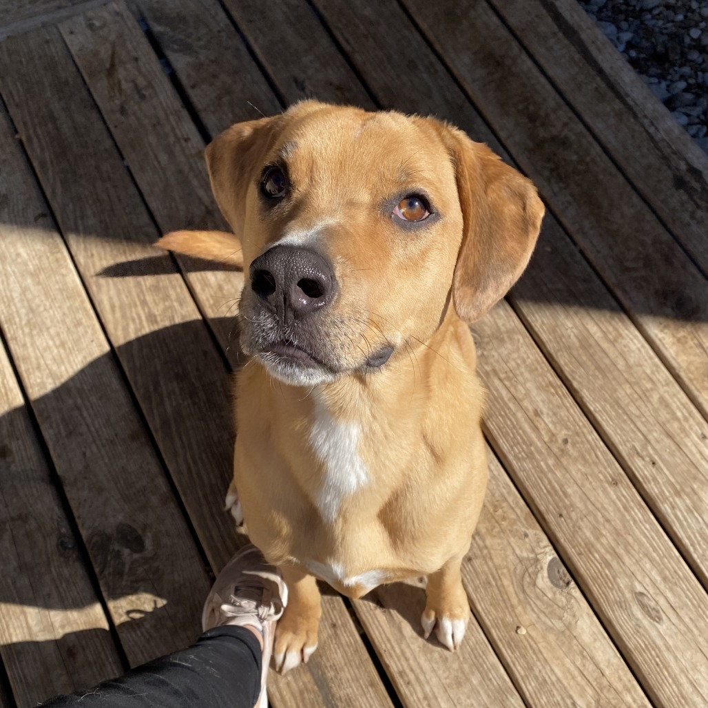 Marx — thumbnail 3