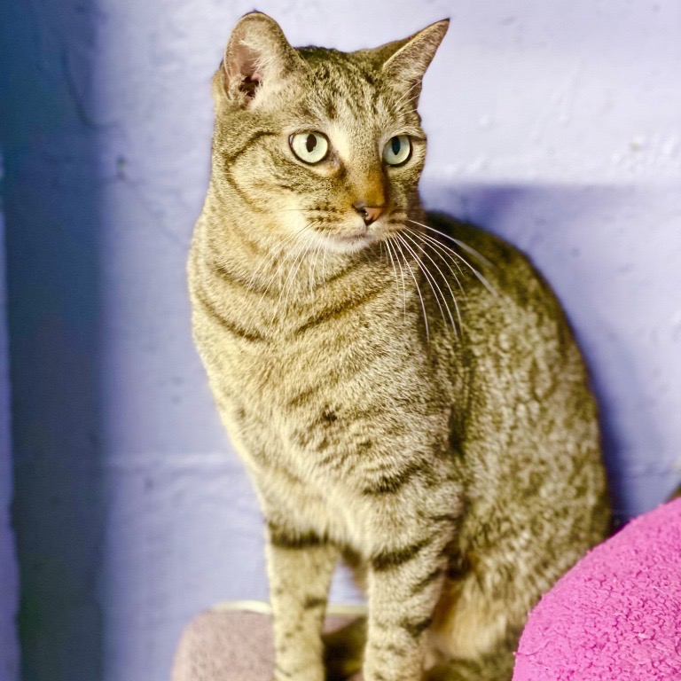 Full body shot of Roger