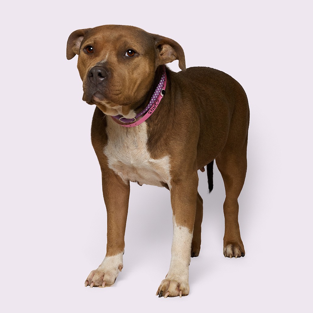 Lily — thumbnail 5