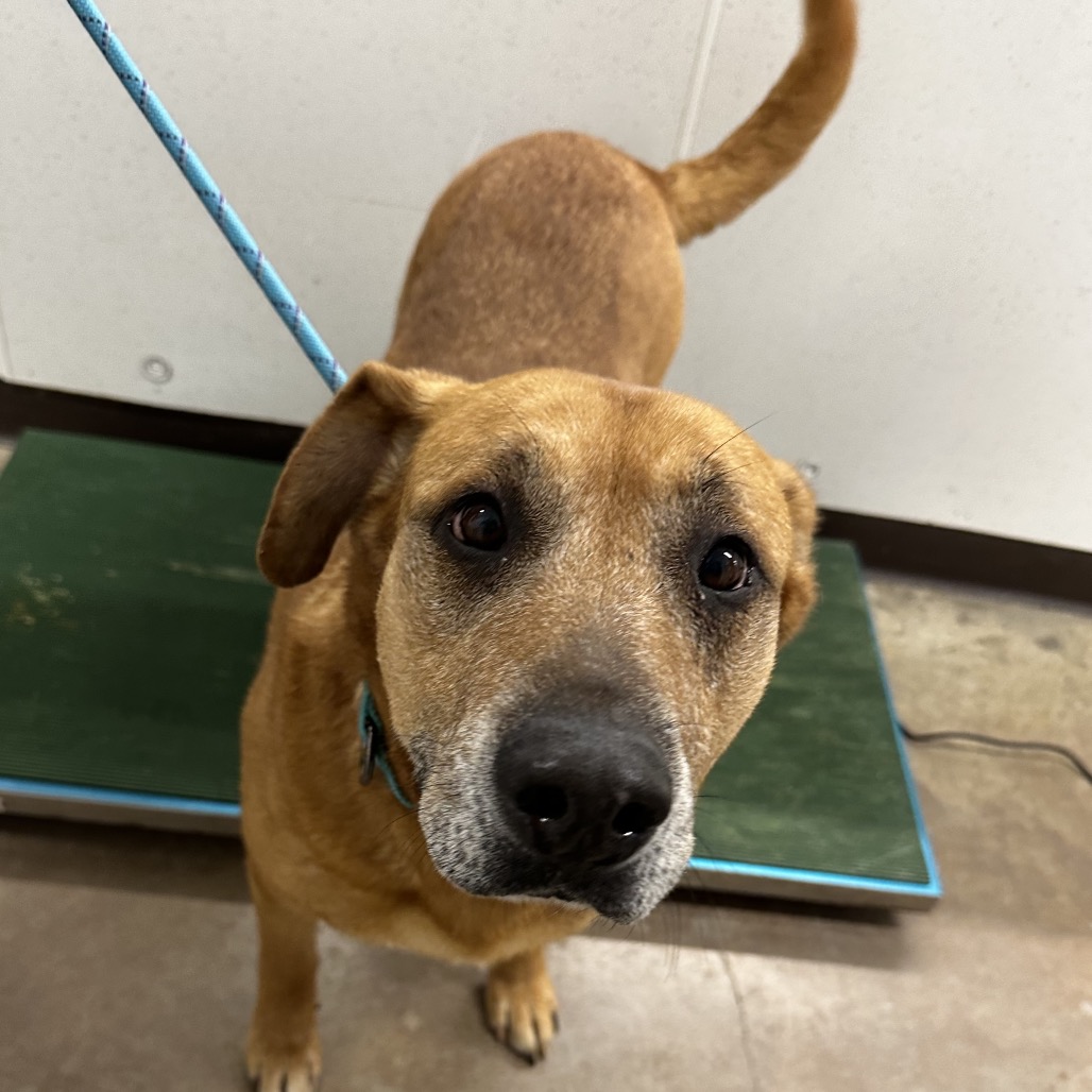 Esme — thumbnail 2