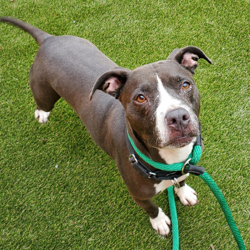 Shayla — thumbnail 2