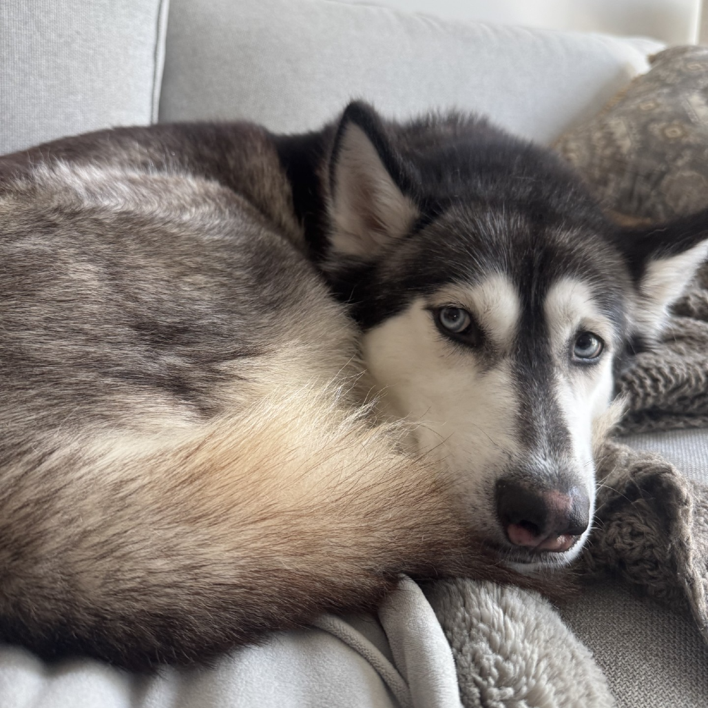 Photo of Freya 6