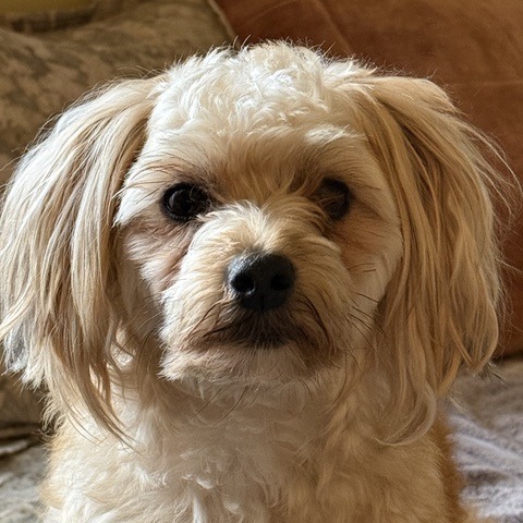 Animal namedCosmo
