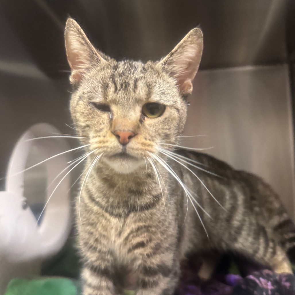 bf597b8d6ad95a3dbdcba4c332dac125