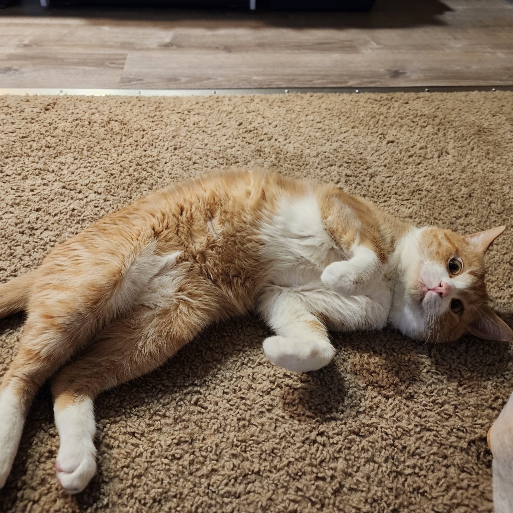 Photo of Heffalump 12