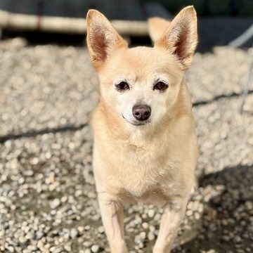 Horacio — thumbnail 2