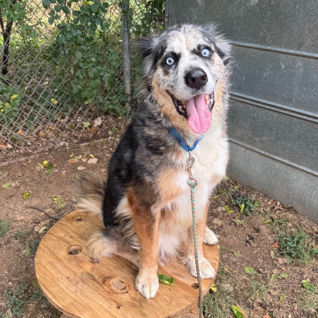 Fondue Platter — thumbnail 8