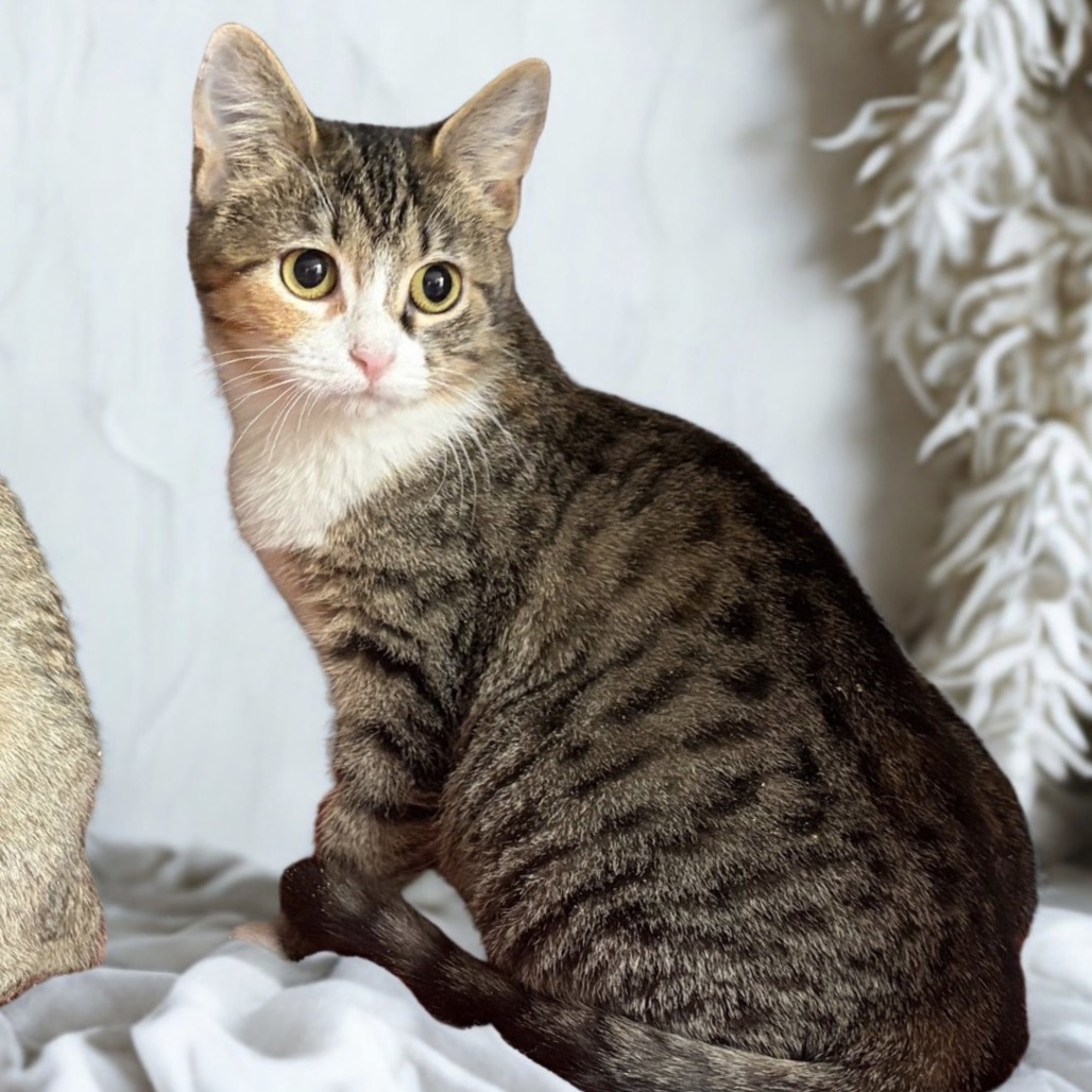 Anna — thumbnail 2