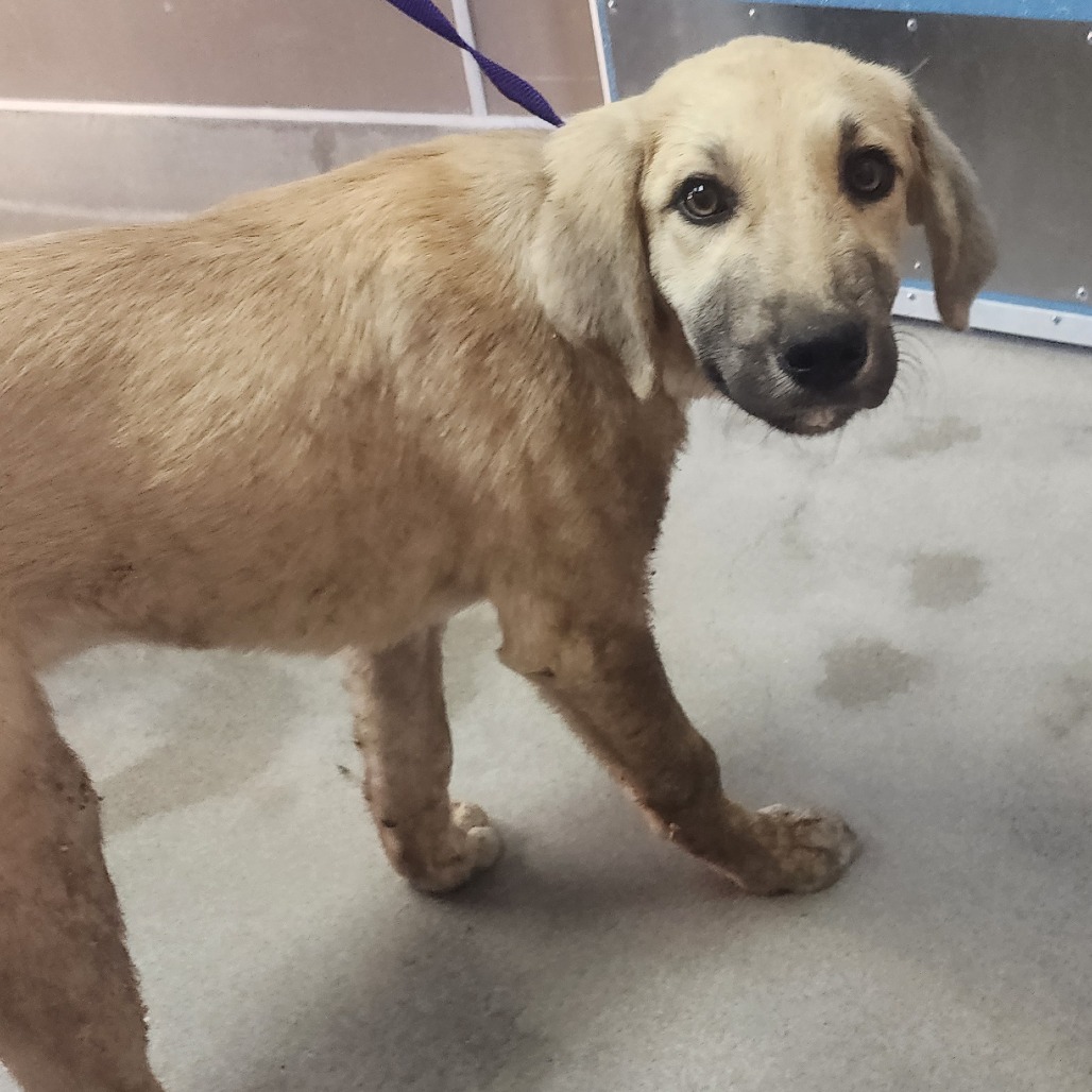 Kennel#30a's preview photo