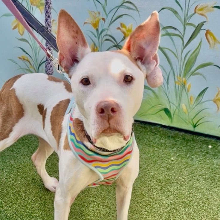 Full body shot of Faith