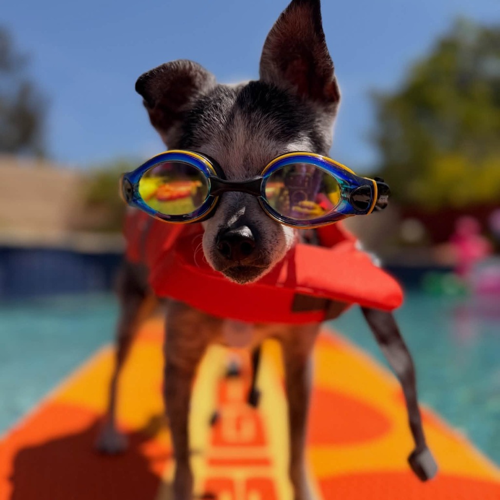 Oakley, photo 7