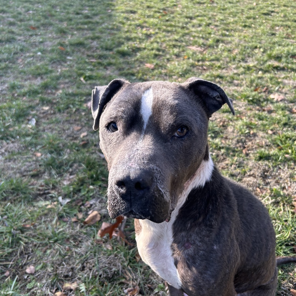 Eeyore — thumbnail 4