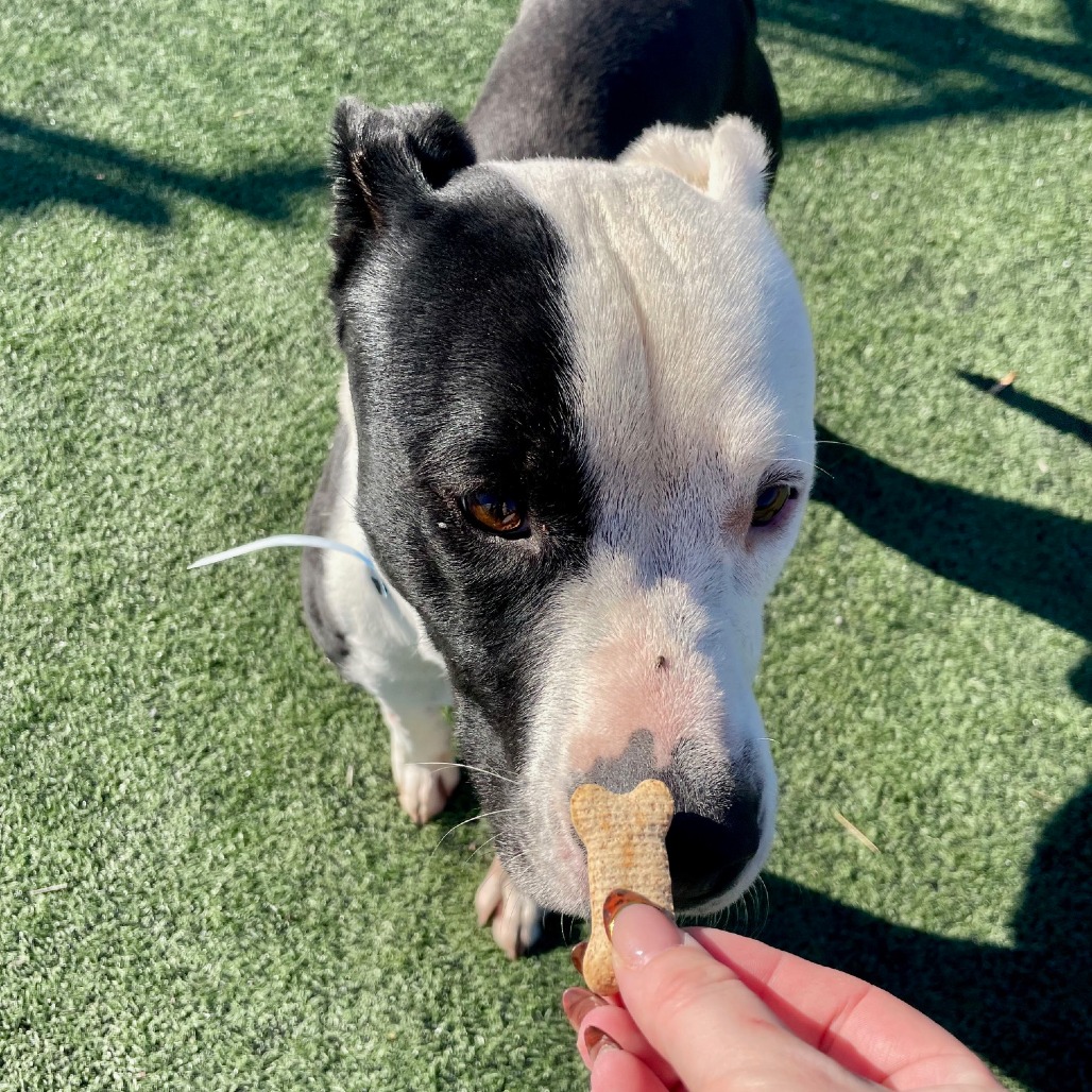 JALEN J — thumbnail 11